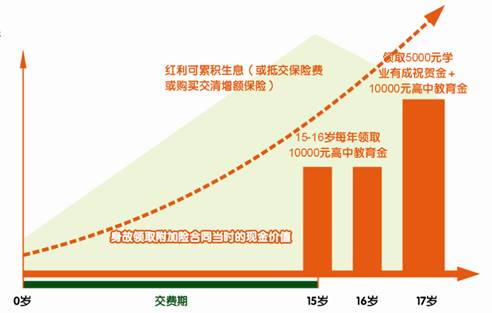 平安附加少儿高中教育年金保险(分红型,2004)投保示例