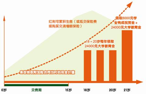 平安附加少儿大学教育年金保险(分红型,2004)投保示例