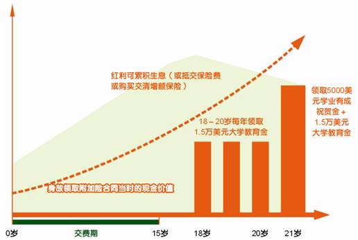 平安附加少儿大学教育年金保险(分红型,外币版)投保示例