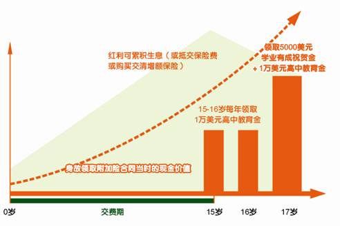 平安附加少儿高中教育年金保险(分红型,外币版)