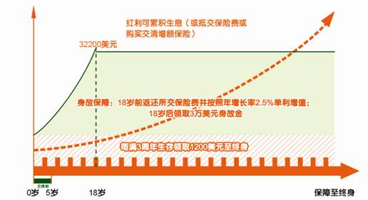 平安世纪天使少儿两全保险(分红型,外币版)投保示例