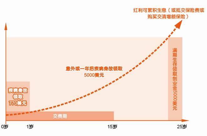 平安世纪星光少儿两全保险(分红型,外币版)投保示例
